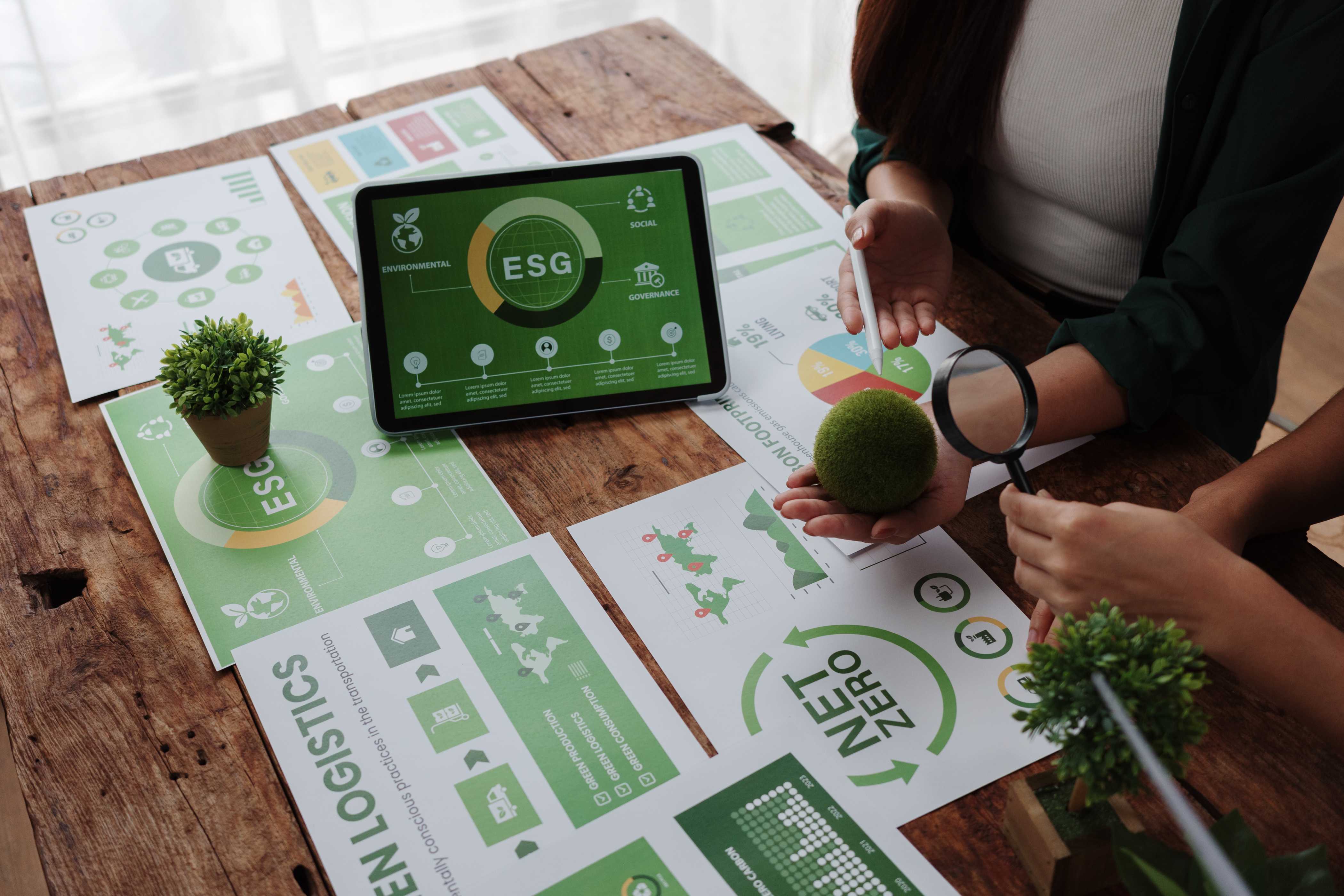 Eco-Branding: How Companies Market Their Green Values with Digital Cards — Signify Insights