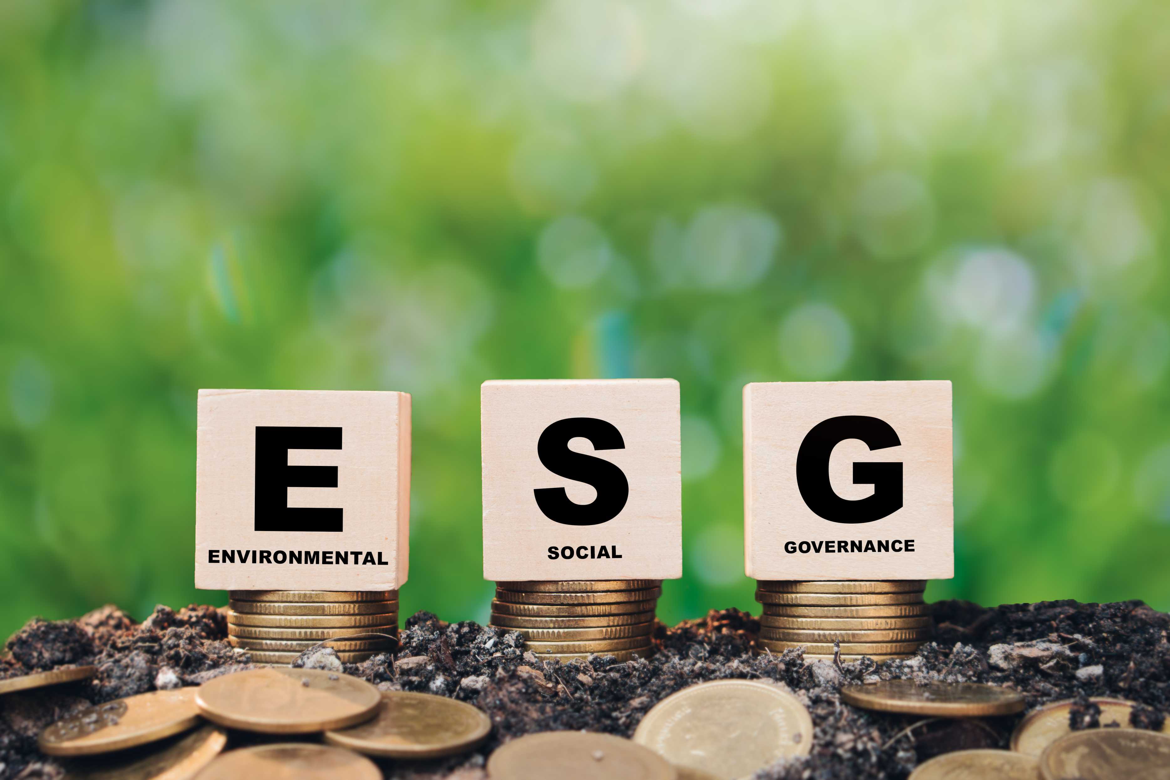 Why Global ESG Standards Will Drive Adoption of Digital Identity Tools — Signify Insights